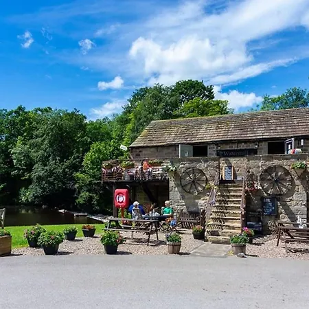 Leylandii 2 Bed In Picturesque Town. *